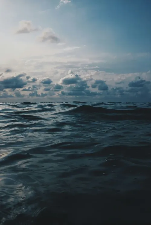 Giga Khurtsilava 5Kwvyw8ziho Unsplash